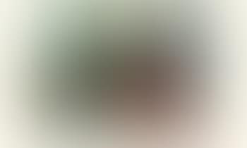 Untitled (preview)