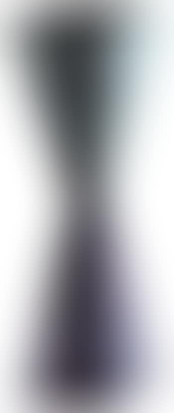Vase (preview)