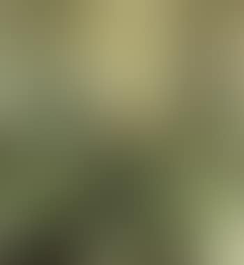 Conscience ensoleillee (preview)