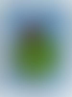 Composition (preview)