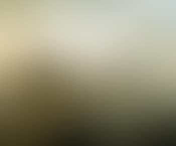 Animated harbour view (preview)