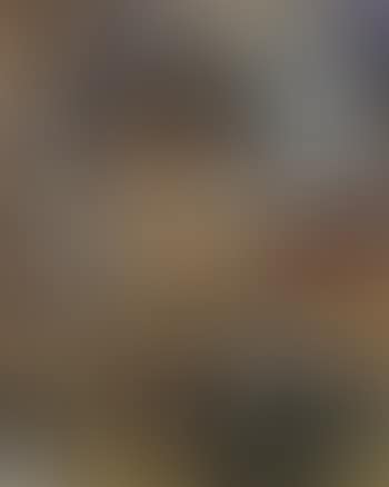 Portrait of a Freedom Fighter (preview)