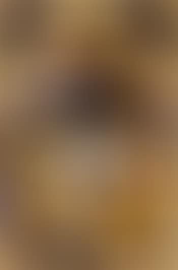 Composition (preview)