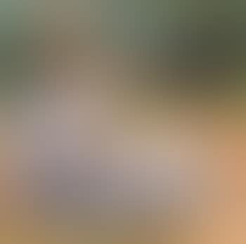 Portrait of woman in white. Adam and Eve (preview)