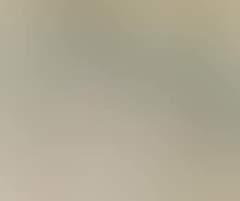 Wooded landscape (preview)