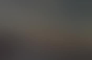 Coastal landscape with sailing boats in morning light (preview)