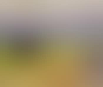 View of the sea, Gudhjem, Bornholm (preview)