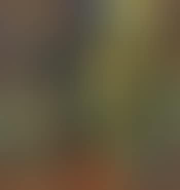 Wooded landscape (preview)