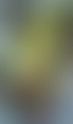 Rough landscape (preview)