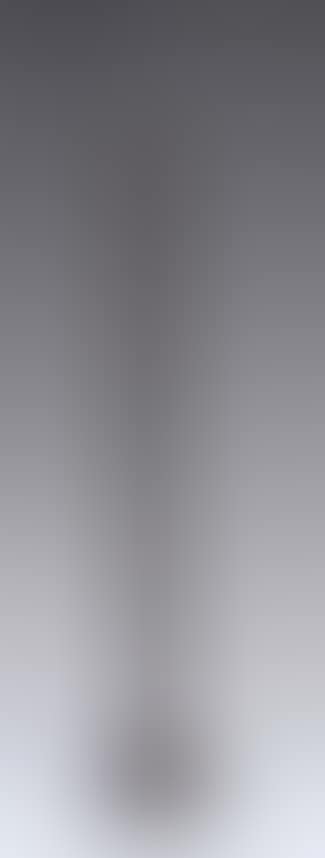 Lampadaire aux anneaux by Alberto Giacometti (preview)
