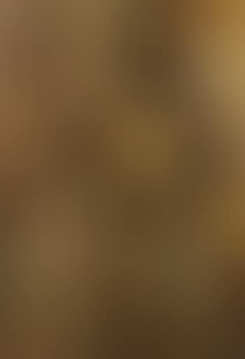 A portrait of a Congolese woman (preview)