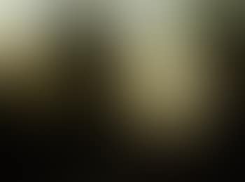 Holy Family resting in wooded landscape (preview)