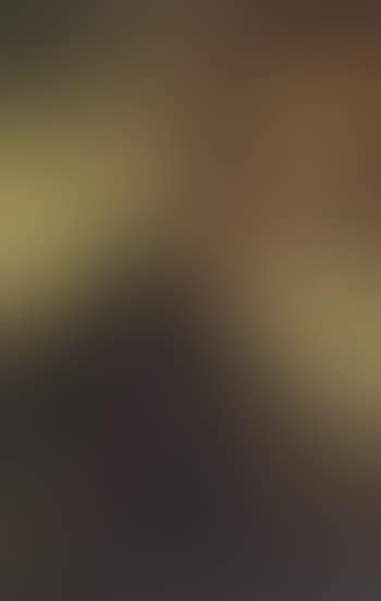 Christ child appearing to Saint Anthony (preview)