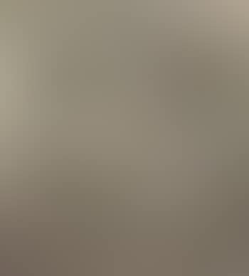 Abstract (preview)