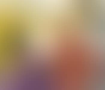 Still life with yellow and red flowers (preview)