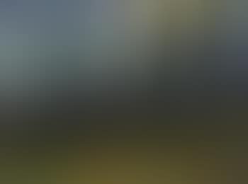 Paysage aux environs de Chatou (preview)