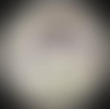 Cheval (preview)