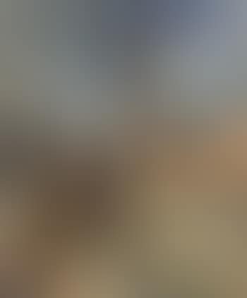 La cathedral a Rouen (preview)