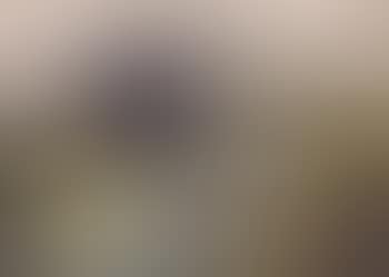 Nature morte (preview)