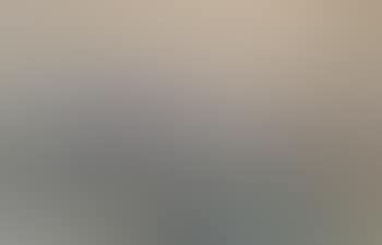View of Florence (preview)