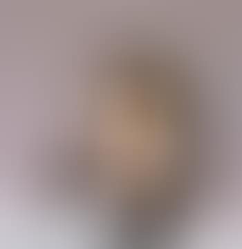 Untitled (preview)
