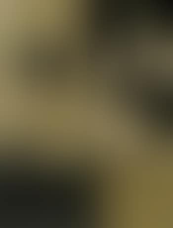 Specialised equipment for every industry (preview)