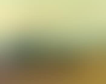 Landscape with a lake and trees (preview)
