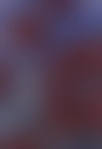 Red star flowers (preview)