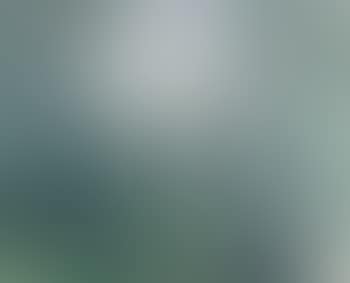 Clearing (preview)