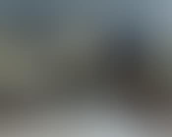 Hirschbach (preview)