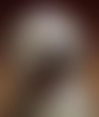 A white poodle (preview)