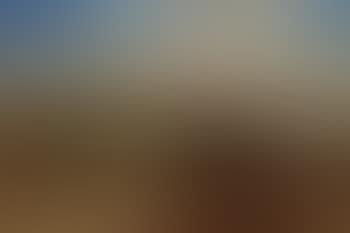 View of Norden over the Danube (preview)