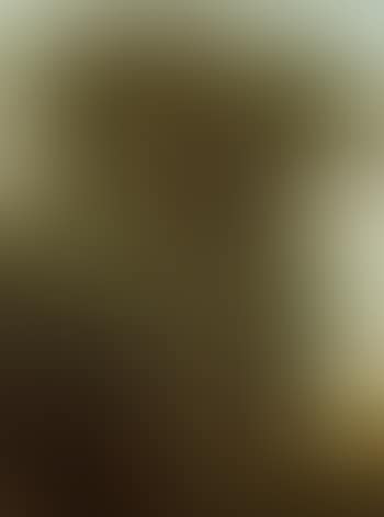 Study of trees in a landscape (preview)