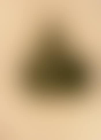 Portrait of a man wearing spectacles (preview)