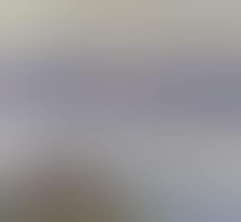 Lac Leman a Morges (preview)