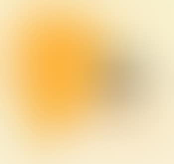 Abstract (preview)