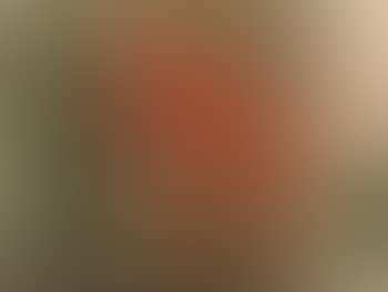 Abstract (preview)