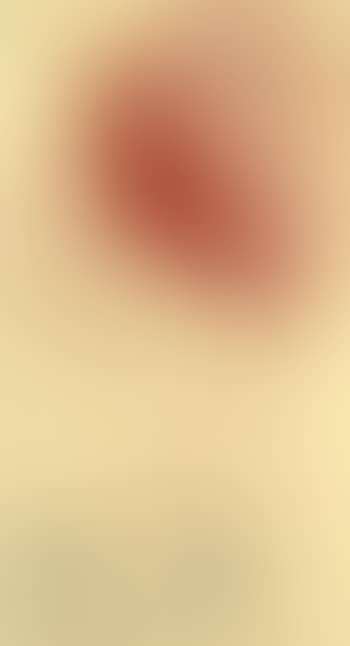 Tete de profil (preview)