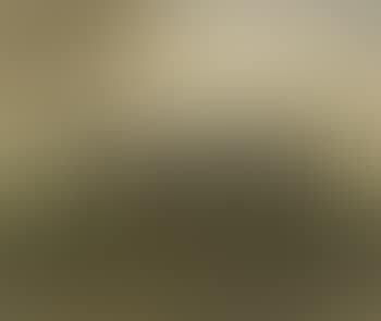 Stone Henge (preview)