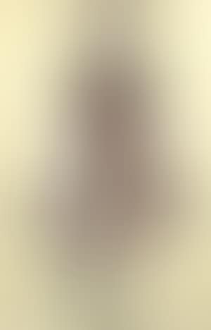 Projet de costume pour une mascarade, Mademoiselle Angot (preview)