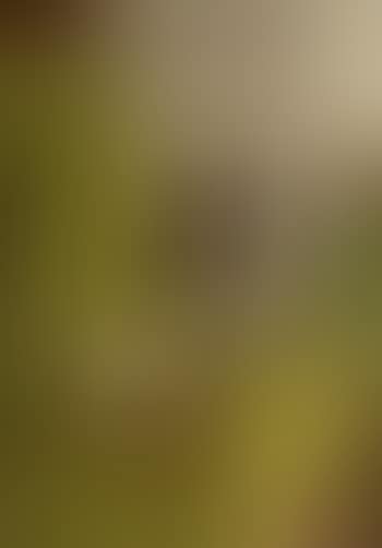 Still life with green drapery (preview)