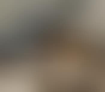 Paysage enneige (preview)