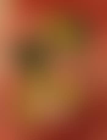 Untitled (preview)