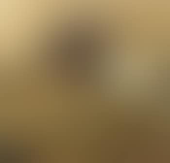 Le panier de truffes (preview)