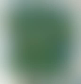 Composition (preview)