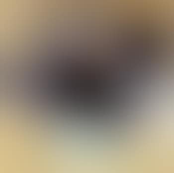 Composition (preview)