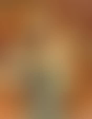 Amaryllis (preview)