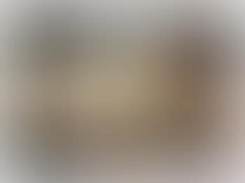 Landscape (preview)
