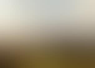 Wheat fields at harvest (preview)