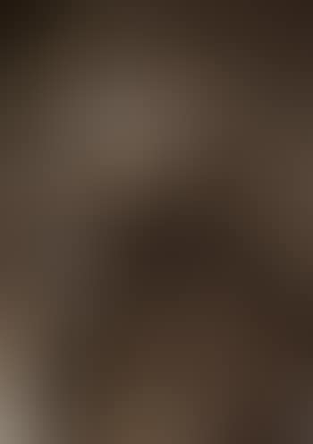 Bust of King Charles I (preview)